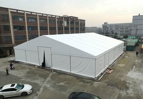 15433071352711439225.jpg 112701.jpg