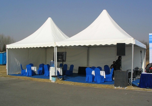 15505574631902950658.jpg 21901.jpg