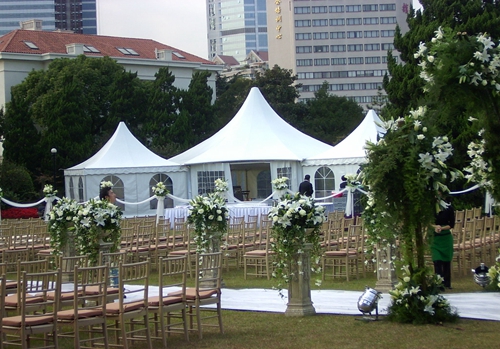 15580862231705379594.jpg 1 (30)25.jpg